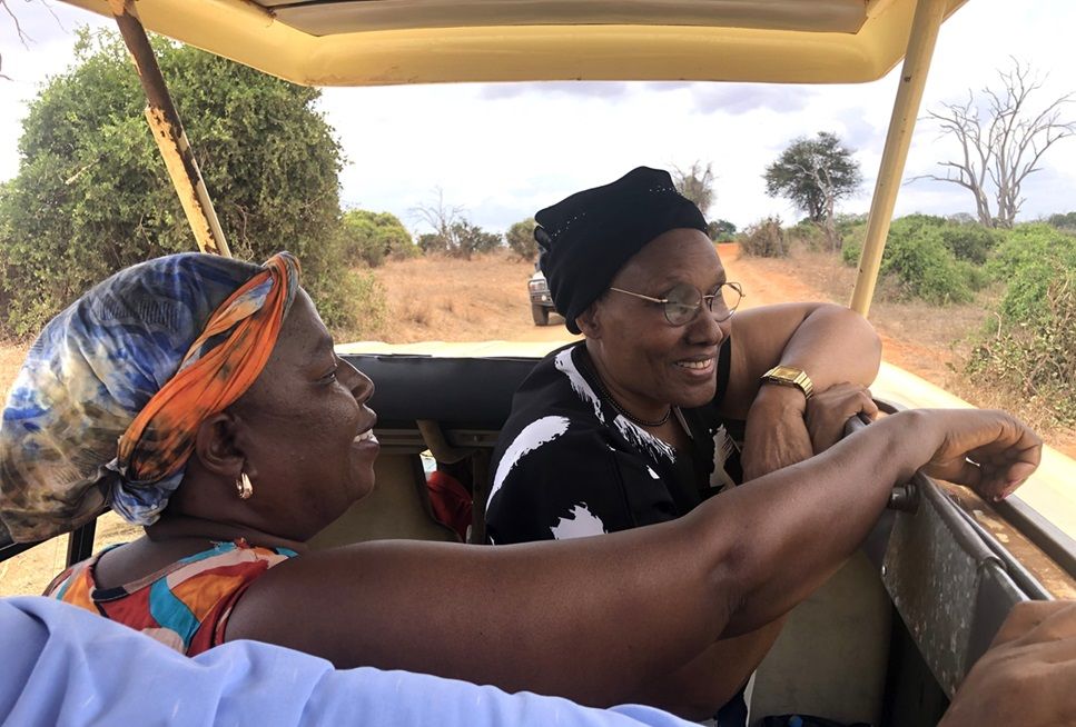 Tsavo Tourists & Diaspora University Plan