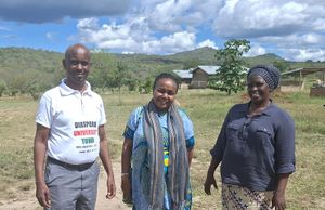 TSC Teachers can Join Diaspora University Founding
